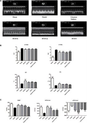 BYD Ameliorates Oxidative Stress-Induced Myocardial Apoptosis in Heart Failure Post-Acute Myocardial Infarction via the P38 MAPK-CRYAB Signaling Pathway